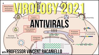 Virology Lectures 2021 20  Antivirals [upl. by God]