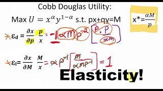 Elasticity Derivations from Marshallian Demand Functions [upl. by Kerr650]