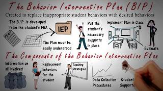 Behavior Intervention Plan BIP Overview [upl. by Aropizt]