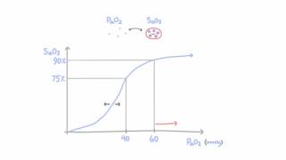 Oxygen hemoglobin dissociation curve [upl. by Socher]