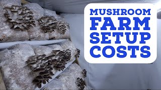 What Does It Really Cost to Setup a Mushroom Farm [upl. by Assirrem776]