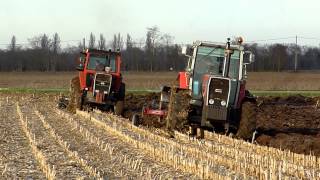 MF 1105 and 2645 plowing [upl. by Crain749]