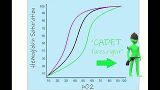 OxygenHemoglobin Dissociation Curve Mnemonic [upl. by Beatrice935]