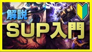 【LoL】初心者向けサポートSUP入門講座・役割、立ち回りについて解説 [upl. by Nel764]