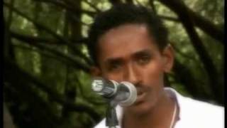 Oromo Music Hacaaluu Hundessa [upl. by Annairdua]