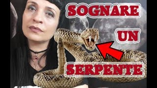 COSA SIGNIFICA SOGNARE UN SERPENTE [upl. by Gurtner92]