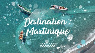 Destination la Martinique avec Exotismes [upl. by Ativak617]