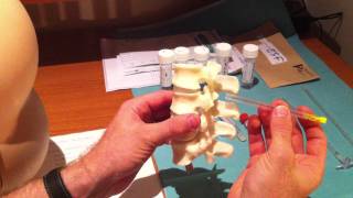 Lumbar Puncture Series  4 Lumbar Spine Anatomy and Needle Trajectory [upl. by Eleonora]