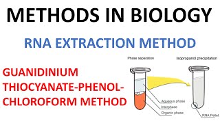 RNA extraction method  Guanidinium thiocyanate Phenol method [upl. by Aoket]