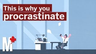 This is why you procrastinate [upl. by Galvin]