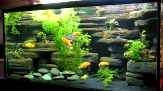 DIY aquarium background  90 gallon made from styrofoam and cement [upl. by Jessi10]