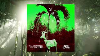 Sofi Tukker  Drinkee Vintage Culture amp John Summit Remix [upl. by Irehs]