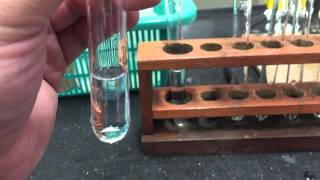 Cation Test Aluminium Ions [upl. by Aenal]