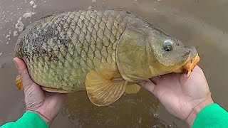 Keep It Simple Carp Fishing  Easy Method For Catching Carp [upl. by Lilybel]