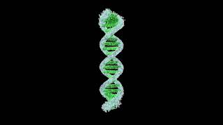 Designing Droplet Digital PCR Assays [upl. by Adai43]