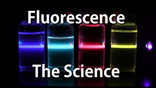 How Fluorescence Works  The Science [upl. by Rosaleen]