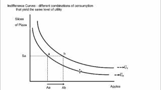 Indifference Curves and Budget Constraints [upl. by Eissalc]