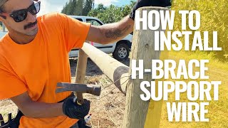 THE FARMSTEAD  How To Install HBrace Support Wire BEST Way DIY  Episode 3 BONUS VIDEO [upl. by Alyat]