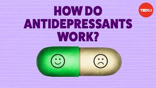 How do antidepressants work  Neil R Jeyasingam [upl. by Einhapets698]