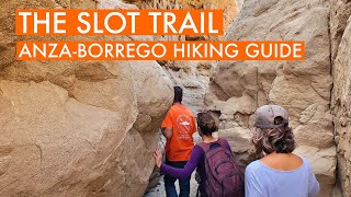 The Slot Canyon Trail in AnzaBorrego Hiking Guide [upl. by Hartman]