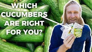 EVERYTHING You Need To Know About Cucumber Types [upl. by Kondon676]