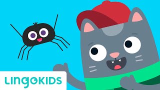 Itsy Bitsy Spider  Nursery Rhymes amp Song for Children  Lingokids [upl. by Tortosa460]