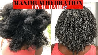 Healthy Journey Series  Maximum Hydration Method on Type 4 Hair [upl. by Harima]