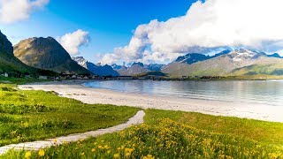 Uplifting Music  light positive happy music Gullrosøya  1 hour [upl. by Anne-Marie]