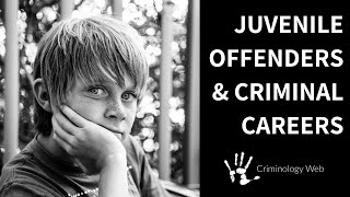 Juvenile Delinquency Two Types of Criminal Careers [upl. by Aynor916]