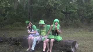 The Leprechaun Song Original Song [upl. by Monty]