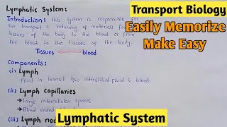 Lymphatic System  Lypmh  Class 11 Biology [upl. by Bornstein477]