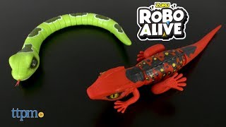 Robo Alive Slithering Snake amp Lurking Lizard from Zuru [upl. by Llerdnad]