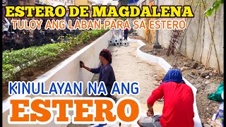 ESTERO DE MAGDALENA NAGBABAGONG KULAY NA [upl. by Annoled418]