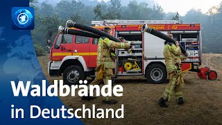 Großflächige Waldbrände in Sachsen und Brandenburg [upl. by Malvin895]