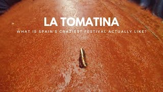 La Tomatina festival  what is it actually like [upl. by Siari231]