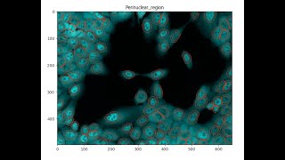 Measuring NuclearCytoplasmic Intensity with CellProfiler [upl. by Niccolo788]