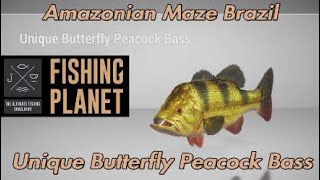 Unique Butterfly Peacock Bass  Amazonian Maze Brazil  Fishing Planet Guide [upl. by Lertram]