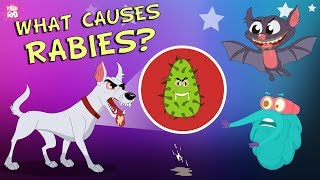 What Causes Rabies  The Dr Binocs Show  Best Learning Videos For Kids  Peekaboo Kidz [upl. by Ester]