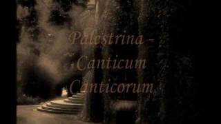 Palestrina  Canticum Canticorum [upl. by Minette211]