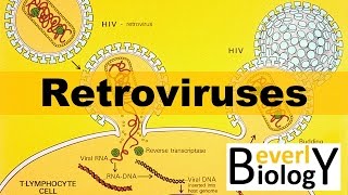 Retroviruses [upl. by Nyssa]