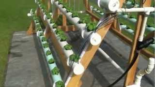 Homemade vertical AFrame hydroponic system Facebook httpswwwfacebookcomgreenerways [upl. by Jo]