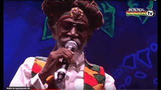 BUNNY WAILER amp The Solomonic Orchestra live  Main Stage 2015 [upl. by Hollah]