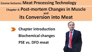 C401 postmortem changes in muscle Meat Technology [upl. by Rasure]