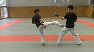 【KARATE TUTORIAL】Kumite Tactics Against Bigger Opponents [upl. by Rebme8]