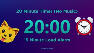 20 minute Timer [upl. by Elak]