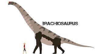 sauropod size comparison [upl. by Anderegg867]