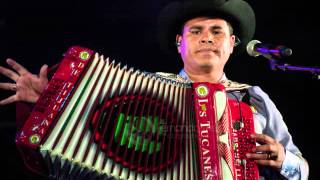 Los Tucanes De Tijuana Mix Corridos En Vivo [upl. by Eanerb]