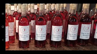 Step by Step How to Make Muscadine Wine [upl. by Muldon]