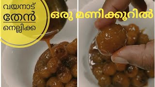 Then Nellikka in 1 hour Malayalam  Honey Gooseberry  Wayanad special then nellikka Recipe  Ep113 [upl. by Eugenie795]