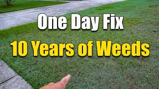 How to Fix an Ugly Lawn  Killing Lawn Weeds [upl. by Eimaj]